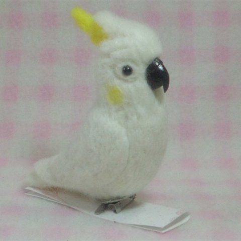 コバタン  mini♪☆マグネット/ブローチ どちらか選択  足有に変更可   羊毛フェルト 鳥のオブジェ リアルバード 受注制作