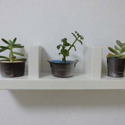 多肉植物、観葉植物　miniシェルフ（Ｘ５）