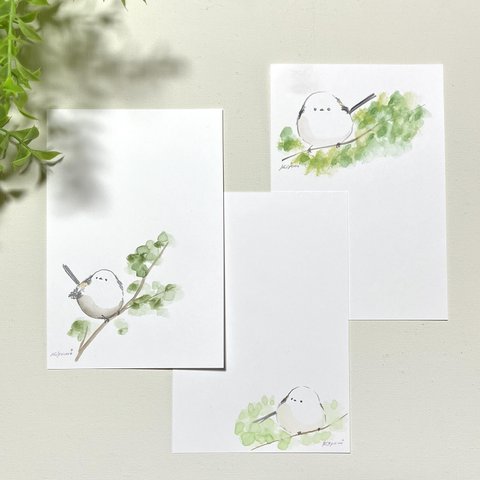 新緑とシマエナガのポストカード☆3枚セット　（顔彩原画）
