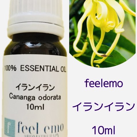 ｱﾛﾏｵｲﾙ イランイラン 10ml (エッセンシャルオイル・精油)