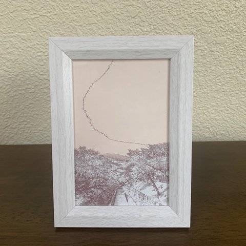 琵琶湖疎水の桜 （L判）