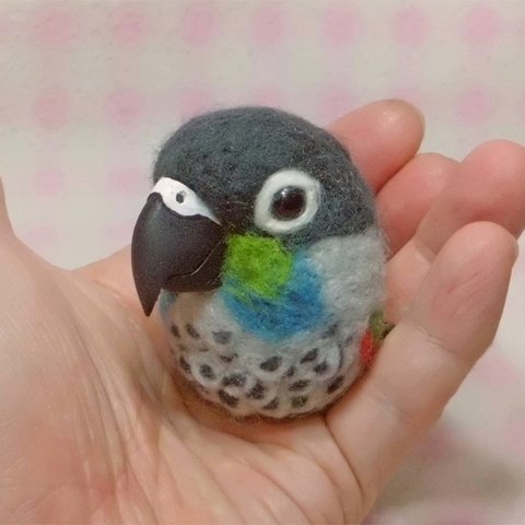 存在感バツグン♪ アオシンジュウロコインコ 羊毛インコ(中型インコ）マグネット/ブローチ どちらか選択　受注作成　うちの子オーダー可能   鳥のオブジェ リアルバード 　工房小鳥屋さん