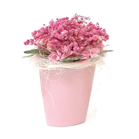 プリザ ビビットピンク プリザーブドフラワー かすみそう ギフト 花 贈り物 誕生日 お祝い 母の日 プリザ ベイビーズブレスブーケポット