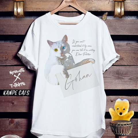 おもしろねこTシャツ「KANPE CATS」