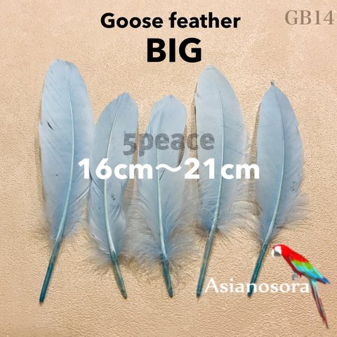 【GB14スカイ】5枚 ガチョウ　大 羽根 フェザー 鳥 羽 アクセサリー パーツ　素材　