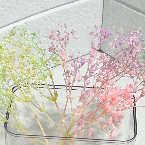 フワフワカラー　ミリオンスター　加工花材