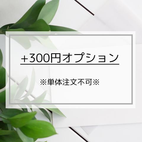 【条件あり】＋300円オプション