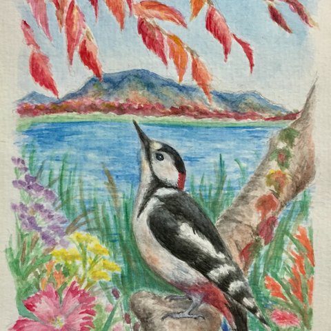 秋の花鳥画ポストカード２絵柄×２枚(4枚組)