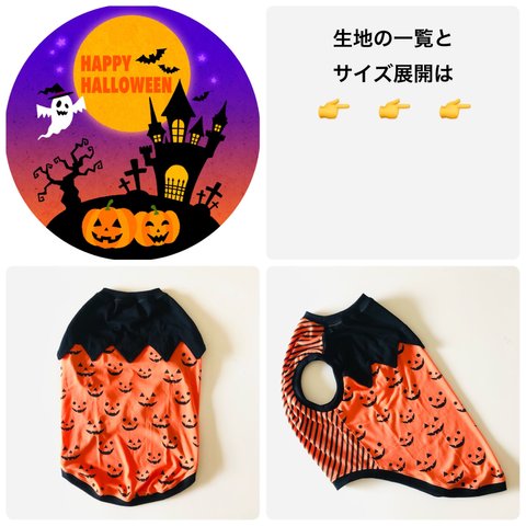 小型犬　中型犬　大型犬　ハロウィン🎃