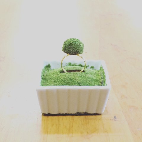 苔玉リング