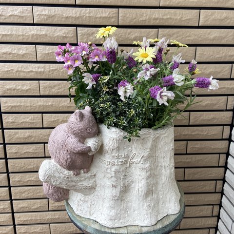 ⚠︎︎𝑆𝑂𝐿𝐷 𝑂𝑈𝑇⚠︎︎りすの鉢に春の寄せ植え♡