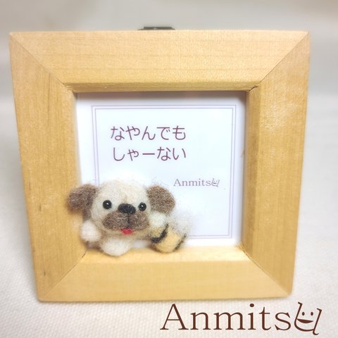 メッセージわんこ　パグ　羊毛　犬　いぬ　わんこ