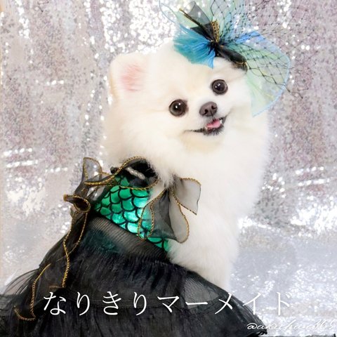 なりきりマーメイド（小型犬用）（ヘアリボン×ワンピース×ベール）ハロウィン、クリスマス、誕生日、バースデー