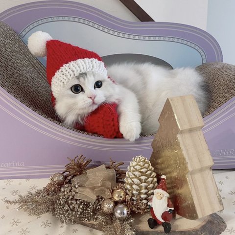 犬 Sサイズ サンタクロース 帽子 ♡ クリスマス 猫 ペット ぽんぽん ニットかぶりもの 被り物 小人帽 犬帽子 ニット帽