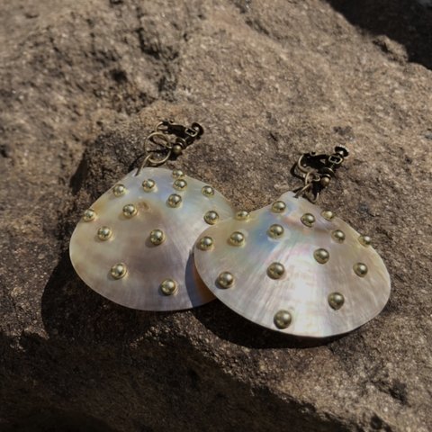 shell earring