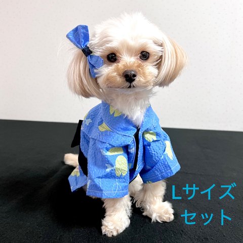 【犬・猫用】犬浴衣　すい蓮　カエル　Lサイズ　犬リボン　セット