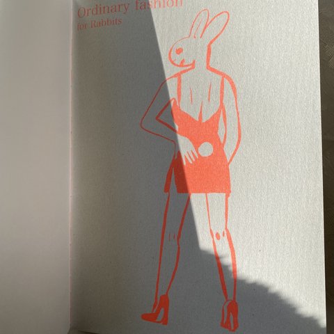 Ordinary fashion for Rabbits  イラスト