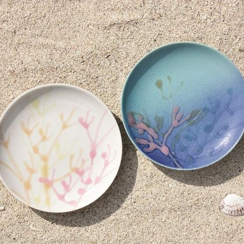 縁起の珊瑚 結婚祝 内祝 出産祝 やちむんギフト 沖縄の海の珊瑚の小皿2枚セット/白色/オーシャンブルー色