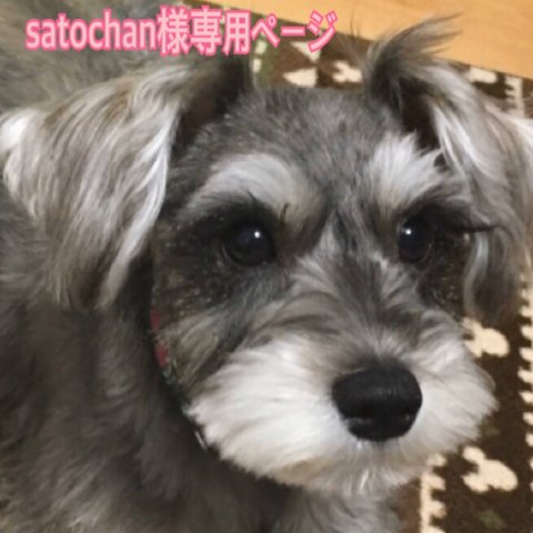 愛犬ちゃん風　リールキーホルダーU^ェ^U