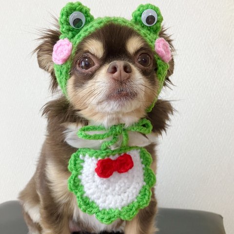 犬用＆猫用被り物 黄緑カエル帽子 梅雨の時期に！！ 紫陽花ネックレス、カエルポシェット