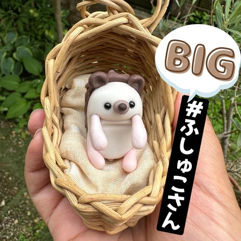 BIGふしゅこさん　ハリネズミの赤ちゃん　お写真見ながらおつくりします