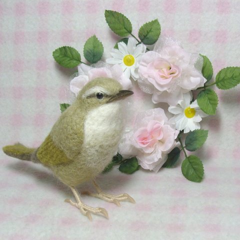 ほぼライフサイズ  ウグイス  鶯  野鳥 羊毛フェルト 工房小鳥屋さん リアル 羊毛ぬいぐるみ　羊毛インコ　受注作成