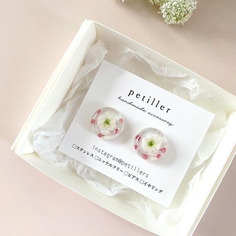 春色気分　pierce/earring 