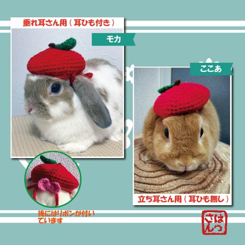 うさぎ用🐰りんごのベレー帽🍎