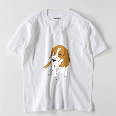 ビーグル　犬　Tシャツ　イラスト　ゆるかわ　メンズ　レディース　おすわり