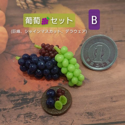 葡萄🍇Bセット(巨峰、シャインマスカット、デラウェア)