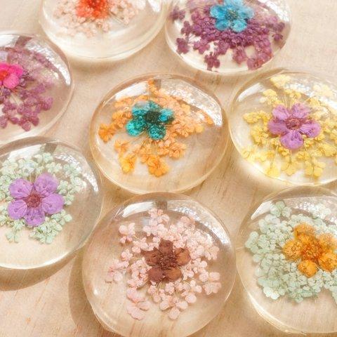 25mm 5個 花ガラスカボション 2花入 MIX クリア フラワー ドーム 貼付け