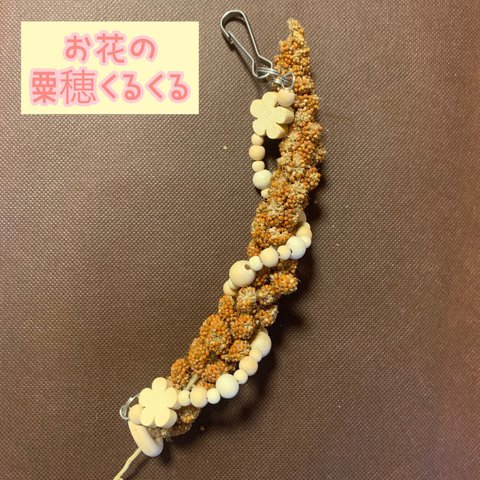 安全で安心《お花の粟穂くるくる》ナスカン付き♡粟穂ホルダー＊ミレットホルダー