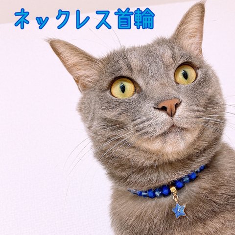 猫の首輪🐈ブルー系ビーズ✨ネックレス首輪♡ヒトデチャーム𓇼