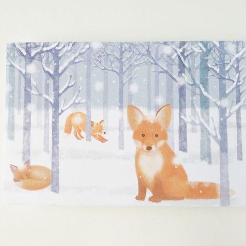 ポストカード「きつねと冬の森」
