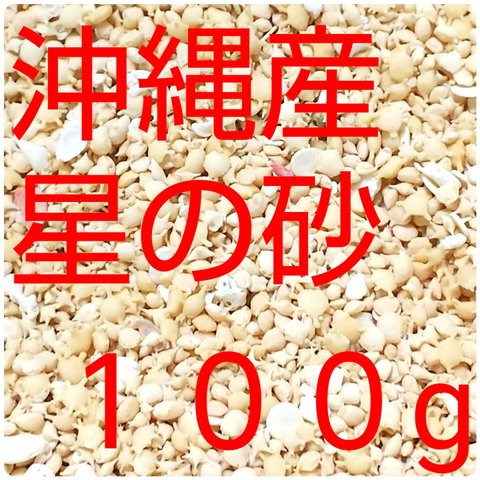 沖縄県産星の砂  １００g ［星砂］送料無料