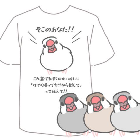 皆に帰れと言われる!? 文鳥Tシャツ