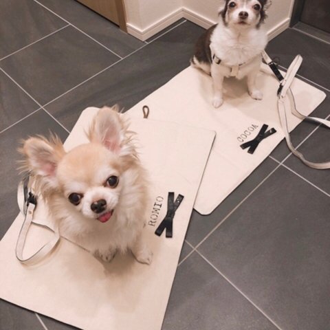 【カフェマット 】お名前入り 生成×デニム リバーシブル 小型犬 持ち運び