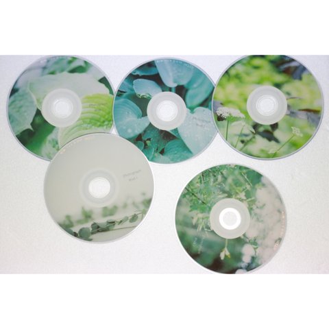 緑が綺麗なDVD盤面プリント5枚セット