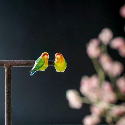 コザクラインコぷくぷく ペア 手乗り小鳥 ミニ チタンピアス