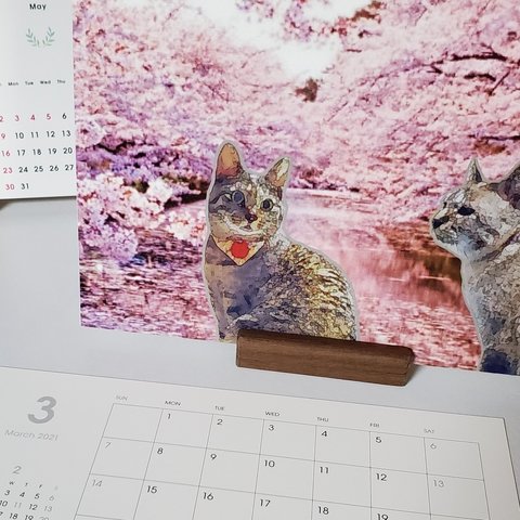 しろとら(保護猫)カレンダー2021