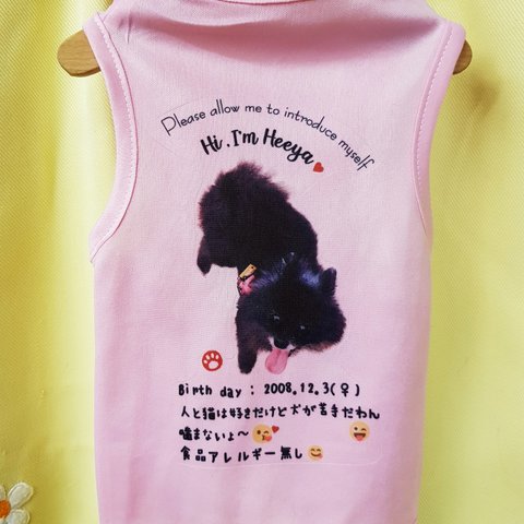 【新作♥自己紹介Tシャツ♥Pink】うちの子の写真と紹介コメントをプリントしたオリジナル犬服、、猫服★春夏用★薄手