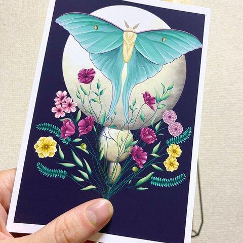 Luna Moth Art Postcard （version 2） オオミズアオアートはがき (バージョン2）