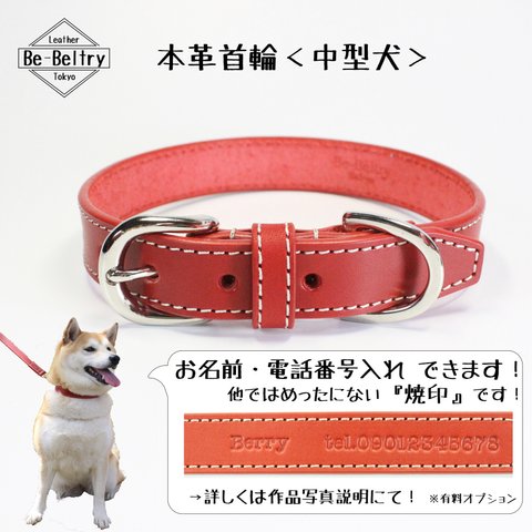 【送料無料】本革レザー首輪〈中型犬〉赤色　幅２１ｍｍ　首回り３２cm～４０cmまで対応可　高級ヌメ革使用