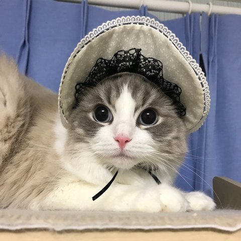 猫の帽子　メイド風ボンネット