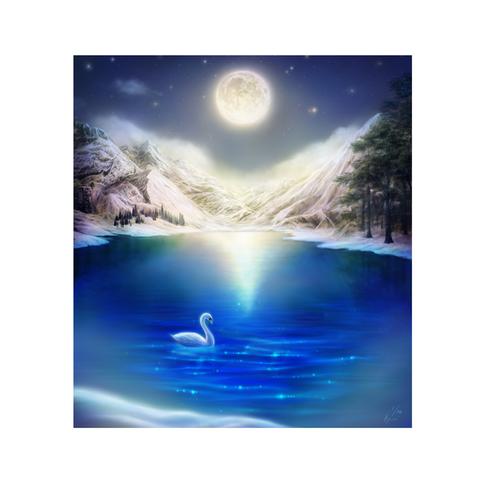 swan lake　【データ販売限定】