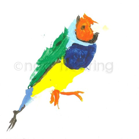 Un oiseau coloré