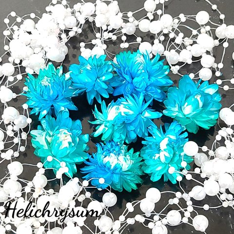 ブルー＆グリーン　ヘリクリサム　プリザーブドフラワー　加工花材　花材