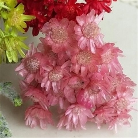マルセラの花束☆優しいライトピンク