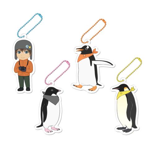 アクキー ／南極ペンギンカラーズ