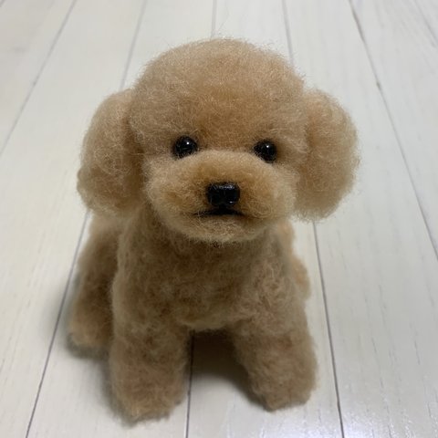 羊毛フェルト　犬　トイプードル【アプリコット】